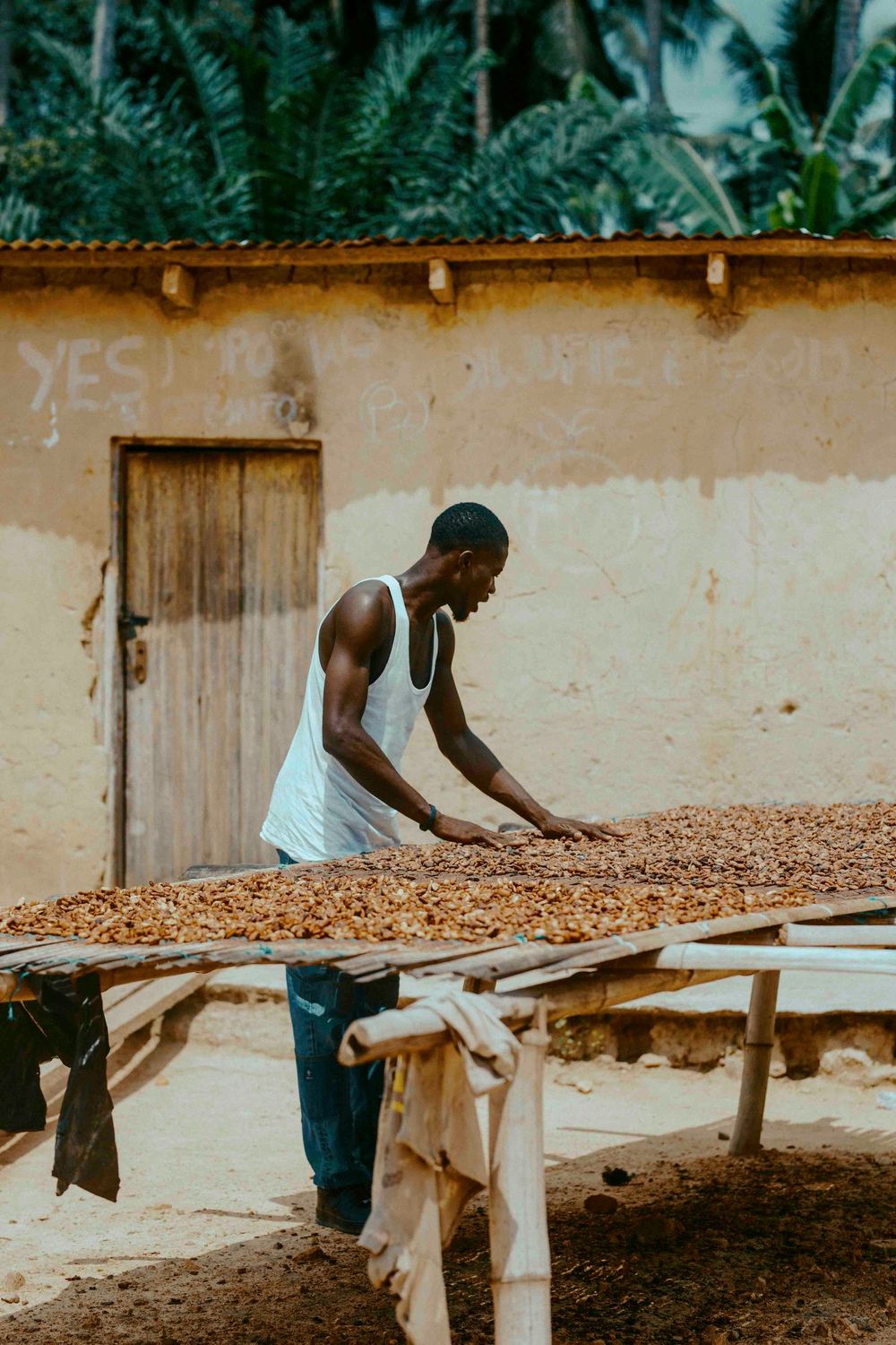 A farmer in Ghana spreads beans out to dry in the sun.