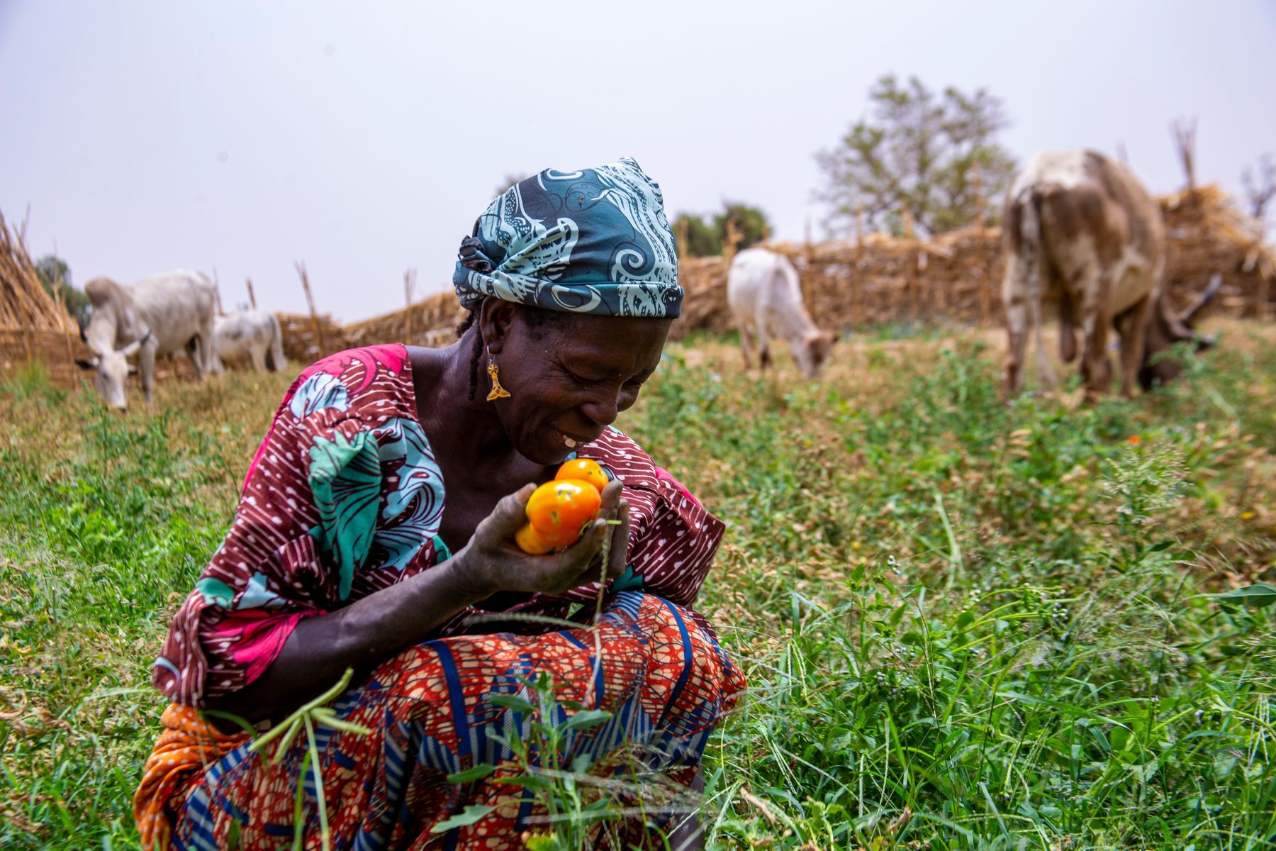 A farmer in a patterned headscarf smiles at tomatoes she has just picked.